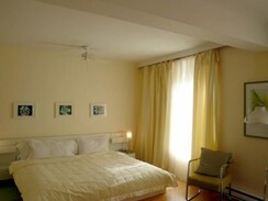 2 BHK Apartment For Rent in Baner