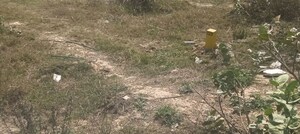  Plot For Sale in Wave City, Wave City