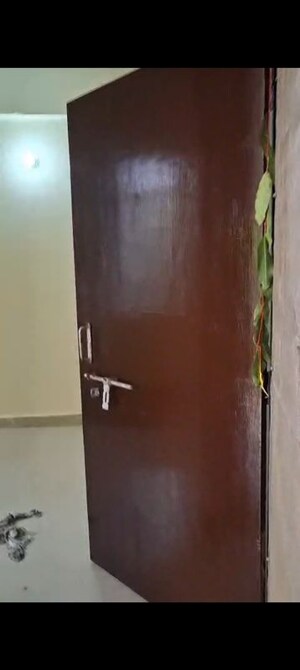 1 BHK Apartment For Rent in YEIDA Plots, Dankaur