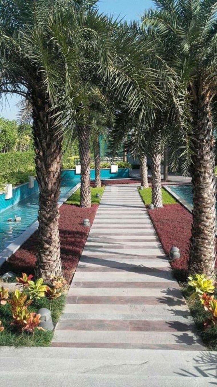 Garden, omaxe-silver-birch 4 Bedroom 2140 Sq.Ft. Builder Floor In North Mullanpur Chandigarh 10203454