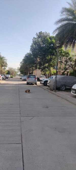 Parking in 4 BHK Builder Floor at Omaxe Silver Birch, North Mullanpur – for Sale