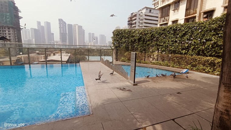 Swimming Pool, lodha-primo 2 Bedroom 710 Sq.Ft. Apartment In Parel Mumbai 10203495