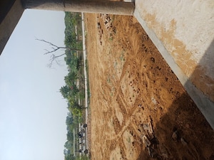  Plot – Exterior View View at Jewar - for Sale