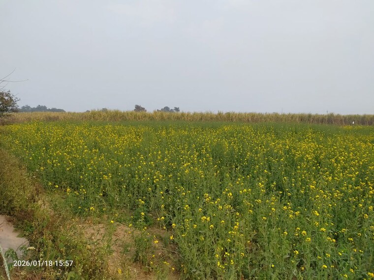 undefined, modinagar Commercial Industrial Plot 2500 Sq.Yd. In Modinagar Ghaziabad 10203760