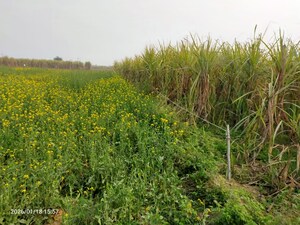 Plot Area in  Industrial Plot at Modinagar – for Sale