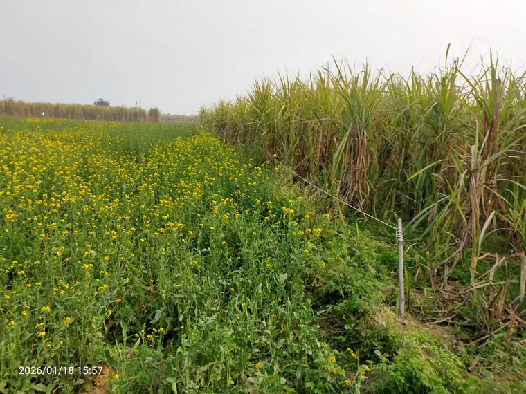 undefined, modinagar Commercial Industrial Plot 2500 Sq.Yd. In Modinagar Ghaziabad 10203760