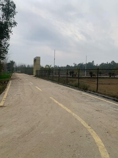 Plot For Sale in Biharigarh