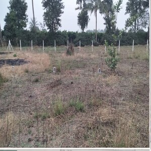 Plot Area in  Plot at Pathardi Shivar – for Sale