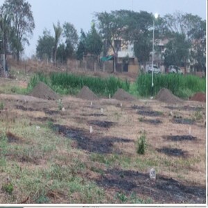  Plot For Sale in Pathardi Shivar