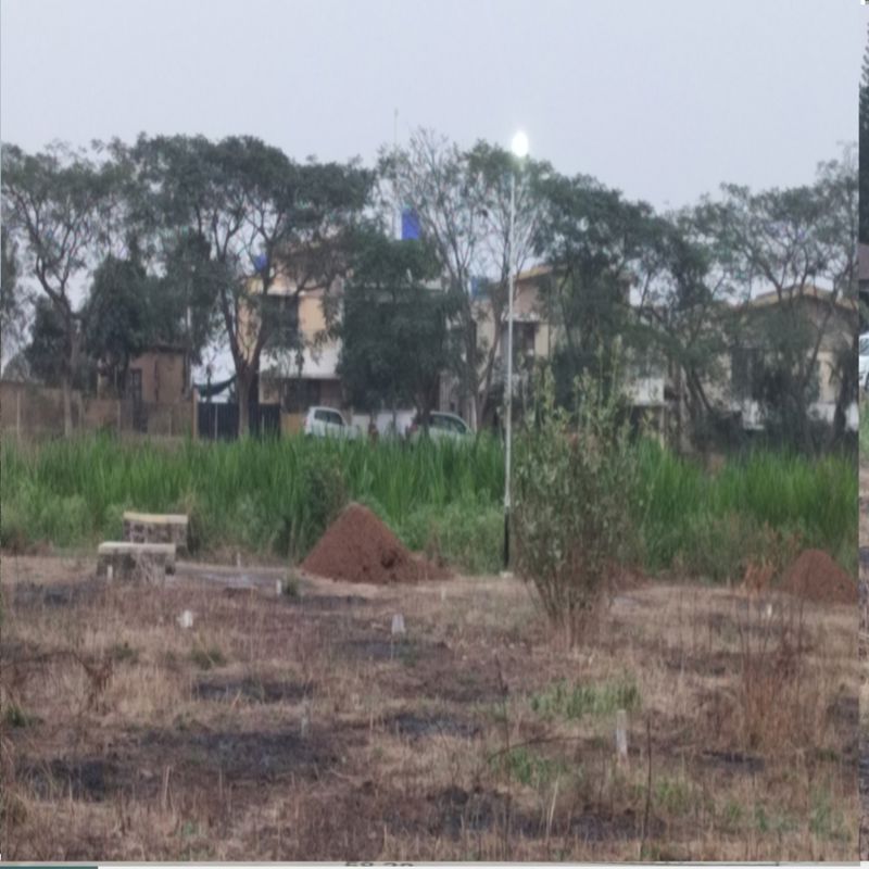 Plot For Sale in Pathardi Shivar