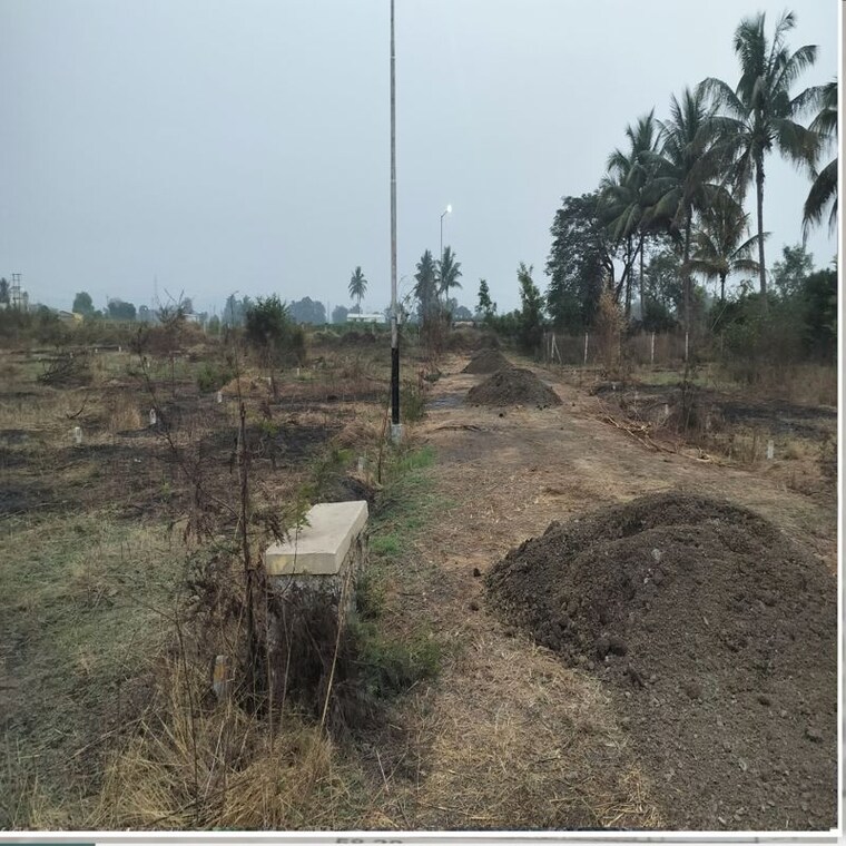 undefined, pathardi shivar  75 Sq.Yd. Plot In Pathardi Shivar Nashik 10203710
