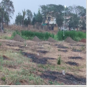  Plot For Sale in Pathardi Shivar