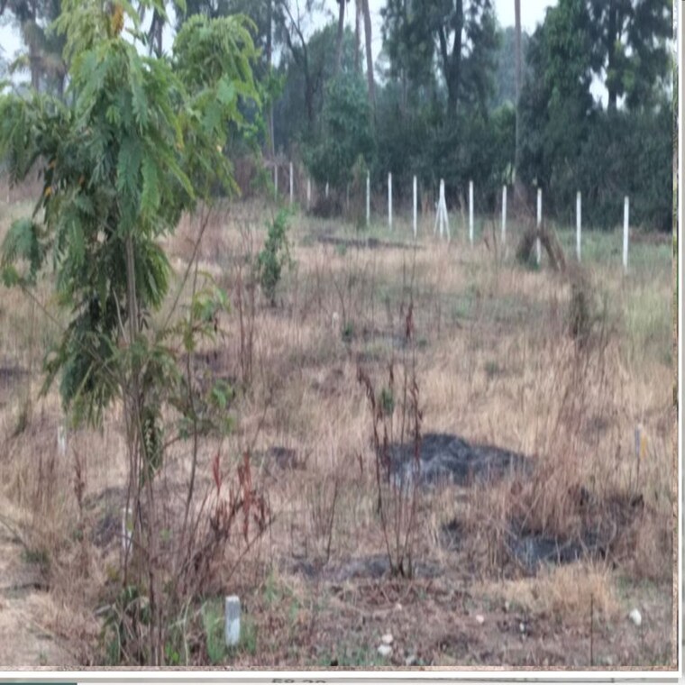 undefined, pathardi shivar  75 Sq.Yd. Plot In Pathardi Shivar Nashik 10203723
