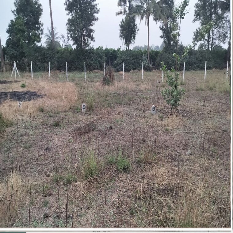 undefined, pathardi shivar  75 Sq.Yd. Plot In Pathardi Shivar Nashik 10203723