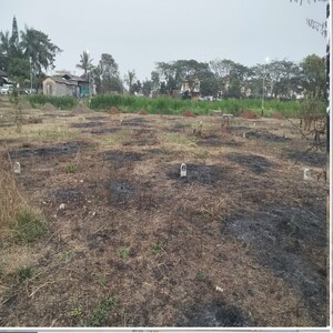 Plot Area in  Plot at Pathardi Shivar – for Sale