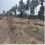 75 Sq.Yd. Plot in Pathardi Shivar