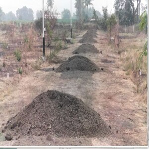  Plot For Sale in Pathardi Shivar