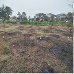 75 Sq.Yd. Plot in Pathardi Shivar