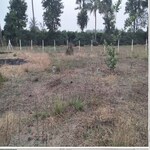 75 Sq.Yd. Plot in Pathardi Shivar