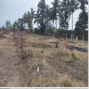 Plot Area in  Plot at Pathardi Shivar – for Sale