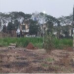 75 Sq.Yd. Plot in Pathardi Shivar