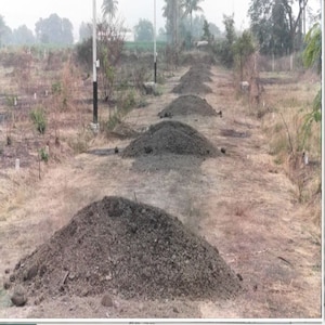 Plot Area in  Plot at Pathardi Shivar – for Sale