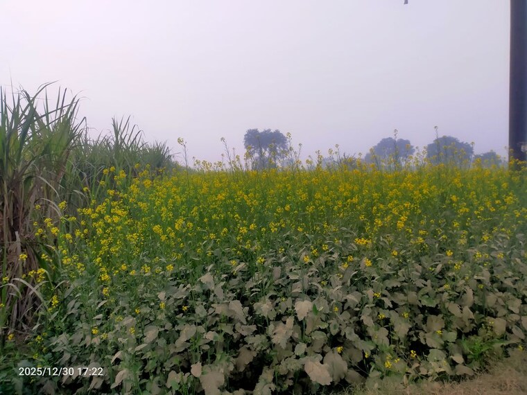 undefined, modinagar Commercial Industrial Plot 4000 Sq.Yd. In Modinagar Ghaziabad 10203915