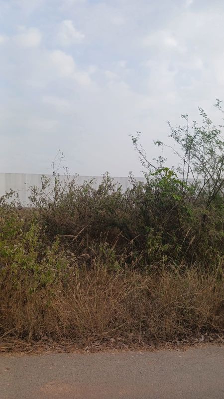 Plot For Sale in Green Woods Layout Yerappanahalli
