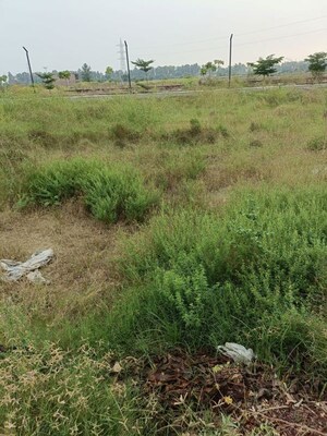  Plot For Sale in SectoR-6