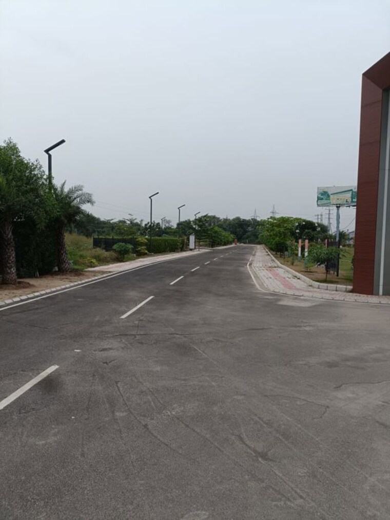 Garden, sector 6  1342 Sq.Ft. Plot In SectoR 6 Jhajjar 10204975