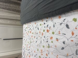 Bathroom in 2.5 BHK Builder Floor at Amrapali Heartbeat City, Sector 107 – for Rent