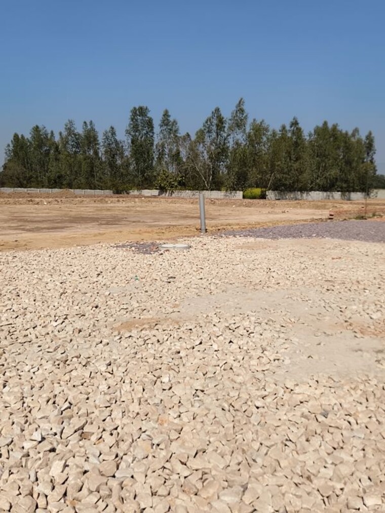 undefined, sultanpur road  1003 Sq.Ft. Plot In Sultanpur Road Lucknow 10205529