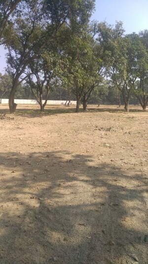 Plot Area in  Plot at Vidhi Estate, Sultanpur Road – for Sale