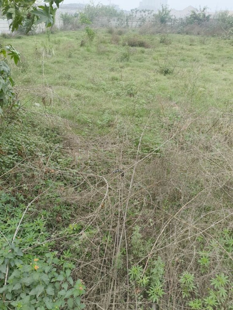 undefined, industrial area Commercial Industrial Plot 2500 Sq.Yd. In Industrial Area Mohali 10205777