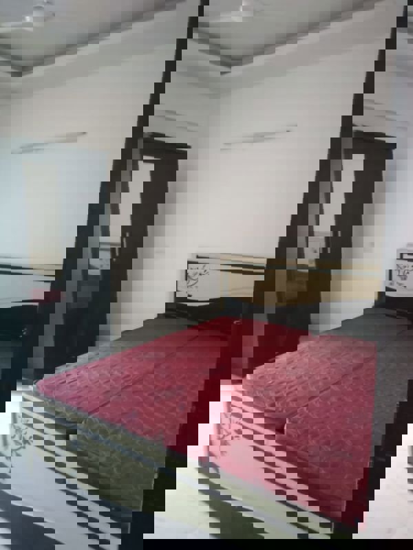 1 Rk  250 Sq.Ft. Apartment in Vatika City