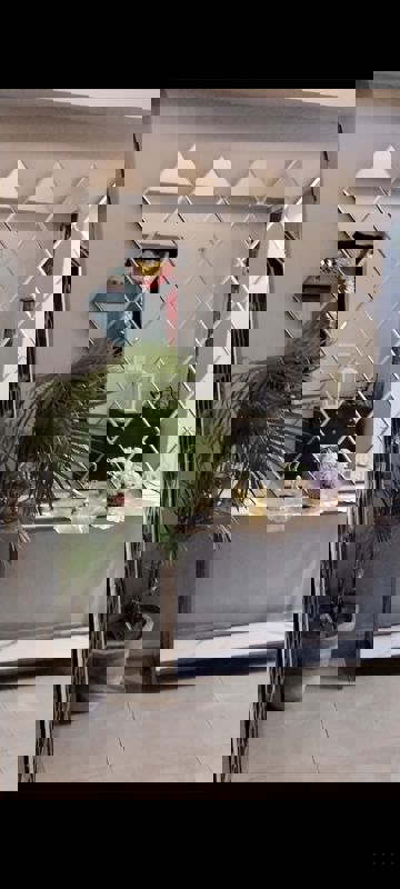 3 BHK 1500 Sq.Ft. Apartment in MCC Signature Heights