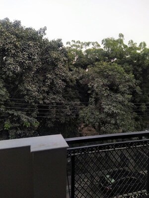 Balcony in 2 BHK Builder Floor at RWA Apartments Sector 41, Sector 41 – for Rent