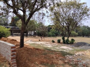 Plot Area in  Plot at Asola – for Sale