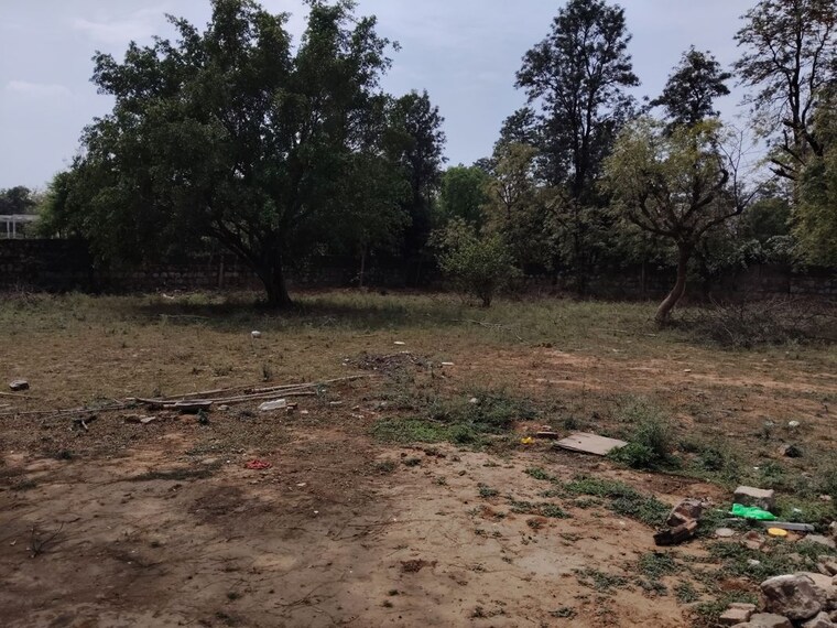 undefined, asola  1200 Sq.Yd. Plot In Asola Delhi 10206523
