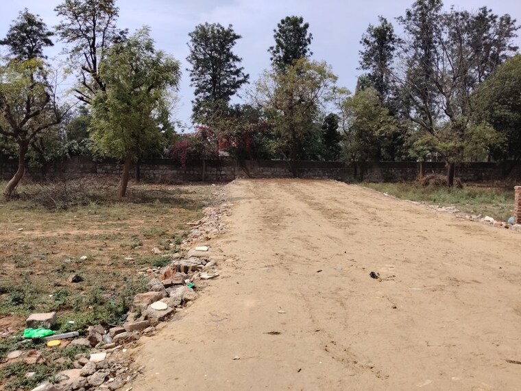 undefined, asola  1200 Sq.Yd. Plot In Asola Delhi 10206523