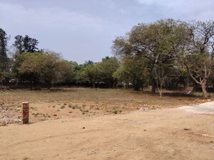 Plot Area in  Plot at Asola – for Sale