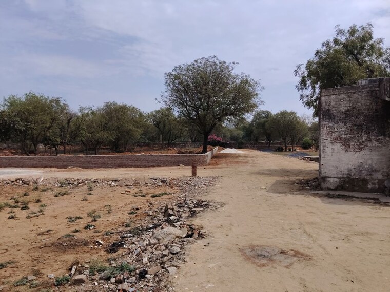 undefined, asola  1200 Sq.Yd. Plot In Asola Delhi 10206523