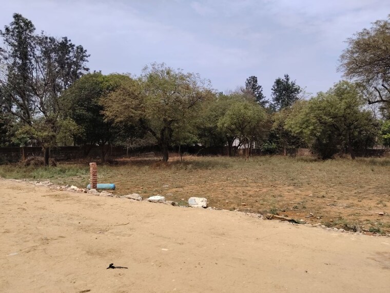 undefined, asola  1200 Sq.Yd. Plot In Asola Delhi 10206523
