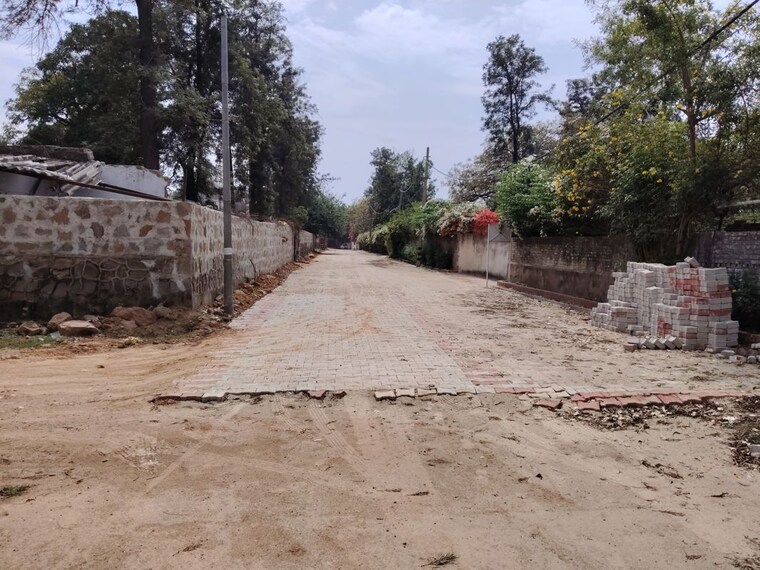 undefined, asola  1200 Sq.Yd. Plot In Asola Delhi 10206523