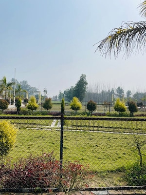 Plot For Sale in Biharigarh