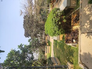 3 BHK Apartment For Rent in Trendset Jayabheri Elevate, Madhapur