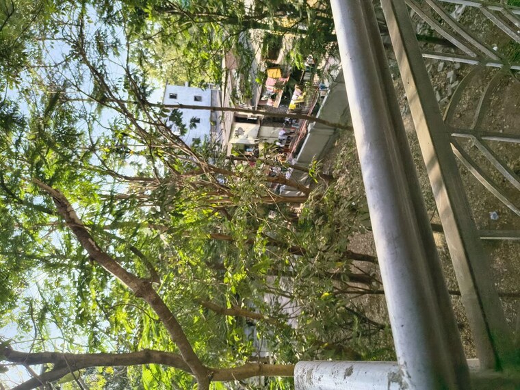 Balcony, sayba-arcadia 1 Bedroom 387 Sq.Ft. Apartment In Kurla Mumbai 10207229