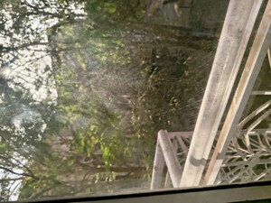 Balcony in 1 BHK Apartment at Sayba Arcadia, Kurla – for Rent