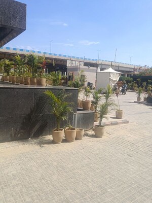 1 BHK Apartment – Exterior View View at Cosmos Express 99, Sector 99 - for Sale