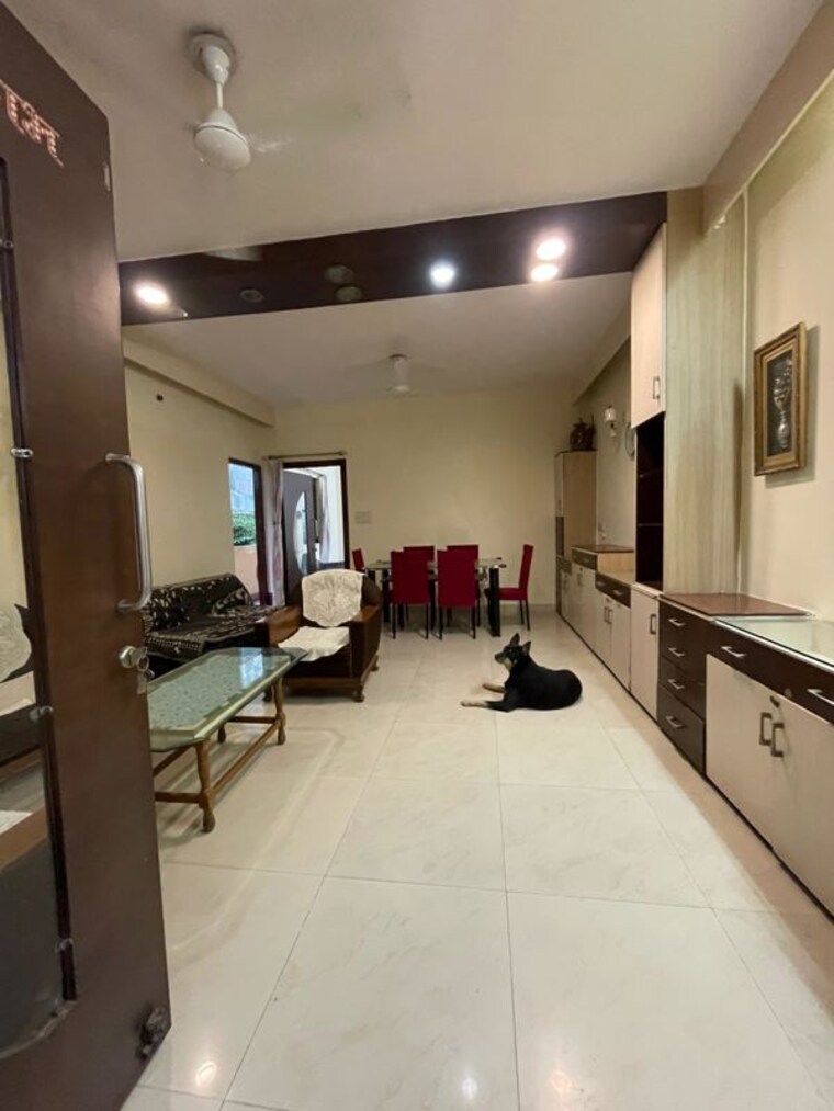 Living Room, lajpat nagar 2 Bedroom 100 Sq.Yd. Builder Floor In Lajpat Nagar Delhi 10205268